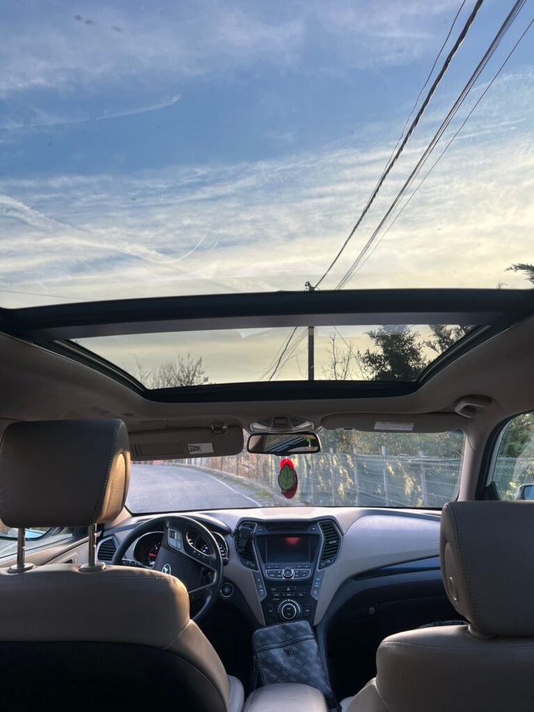 WhatsApp Image 2026-01-19 at 16.03.07 (3)